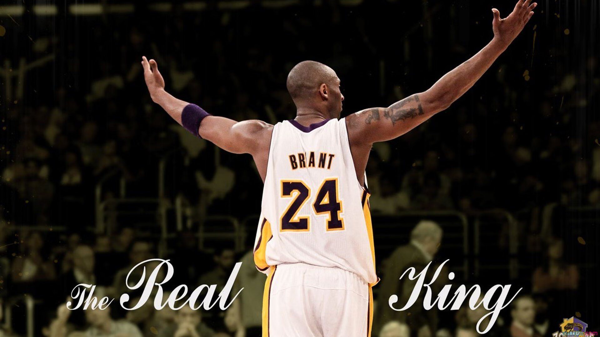 新疆队崛起，季后赛门票的“追逐战”！